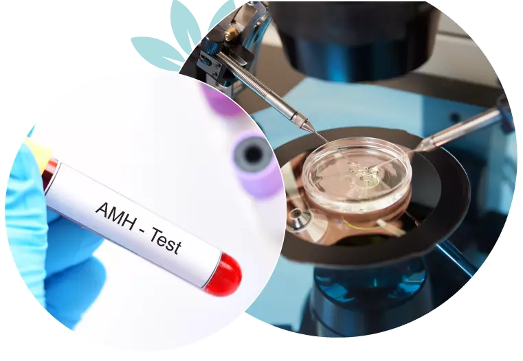 Fertility lab treatments & tests