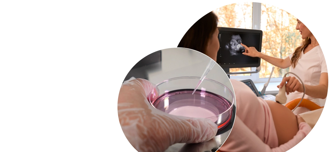 Pruebas y tratamientos de laboratorio de fertilidad