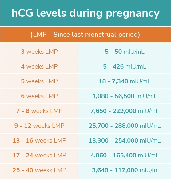 Free Normal Range HCG Levels Chart Download In PSD 58 OFF
