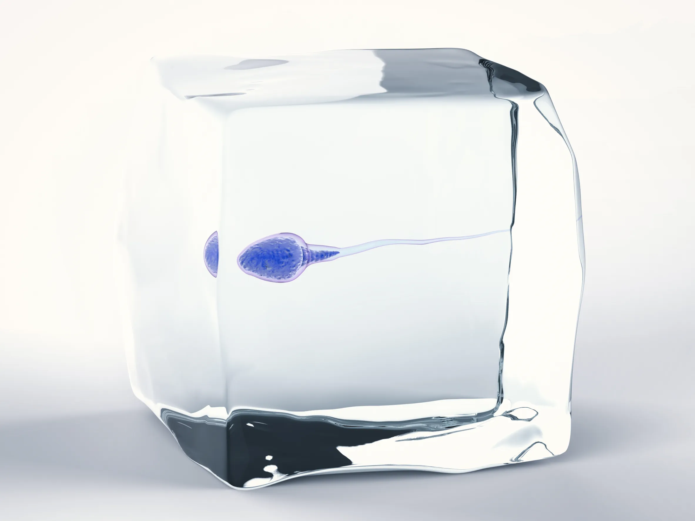 sperm in an ice cube