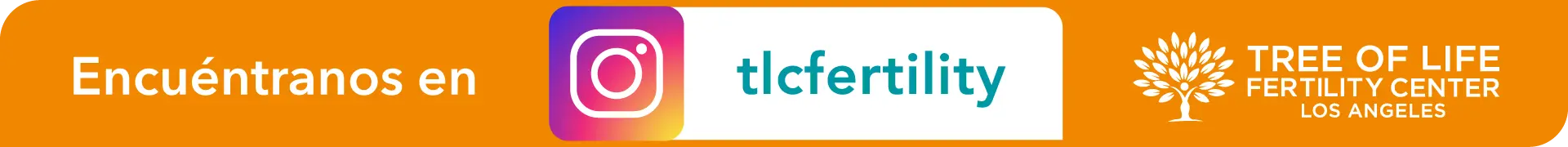 TLC instagram banner